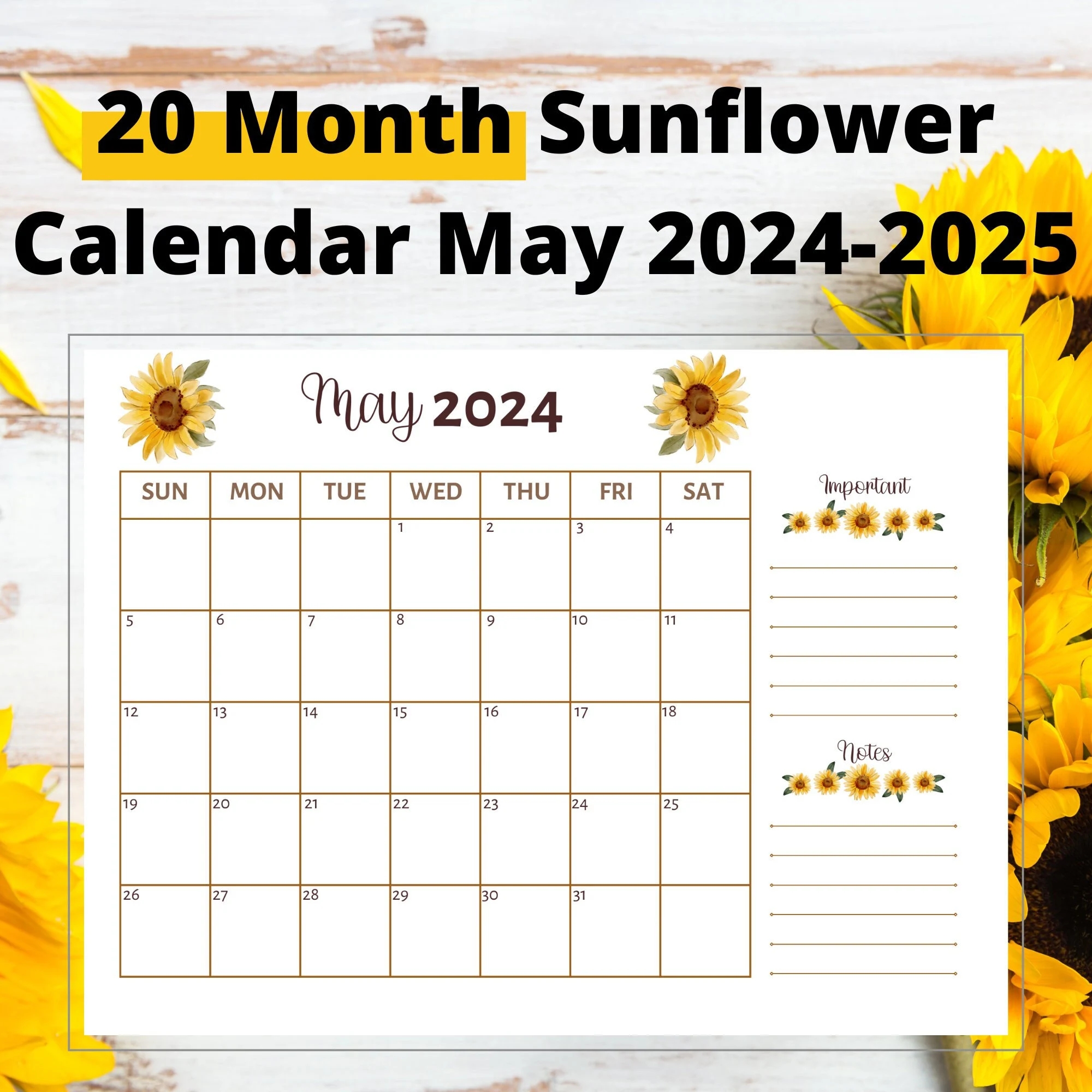 Gsw Schedule 2025-20 Printable Calendar
