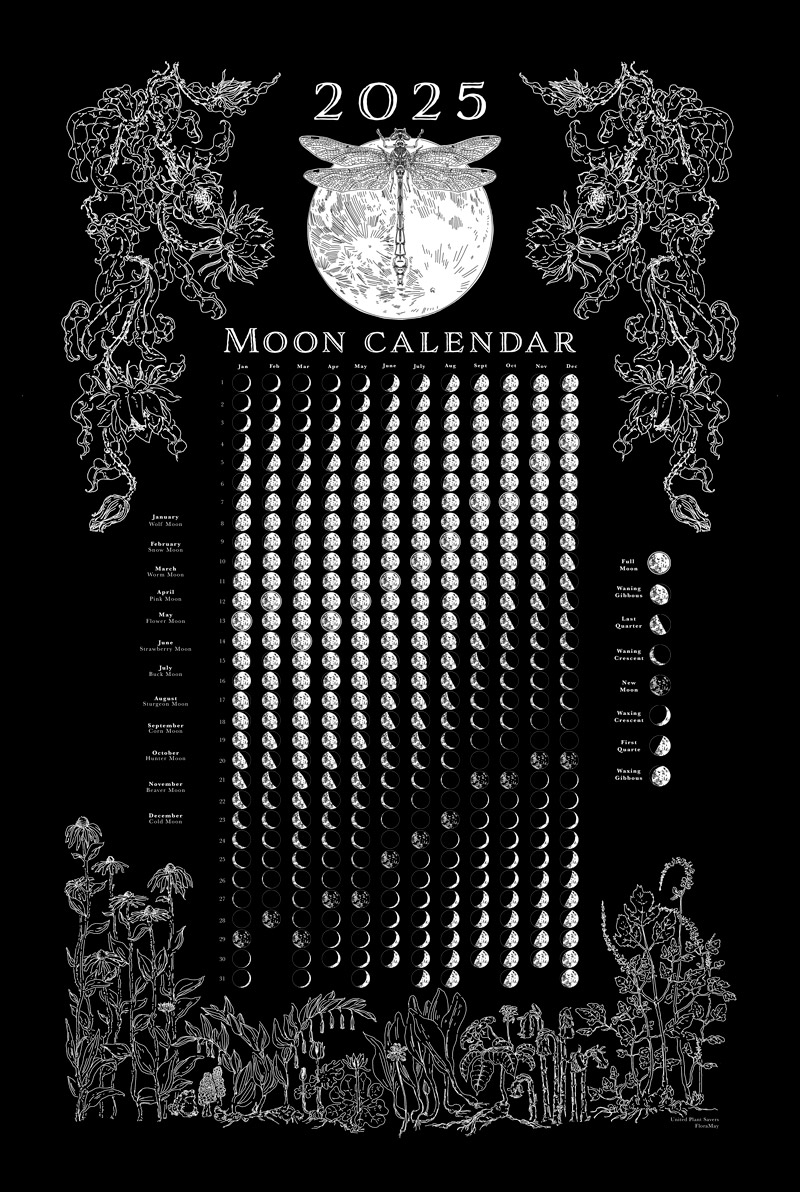 Printable Moon Phase Calendar 2025