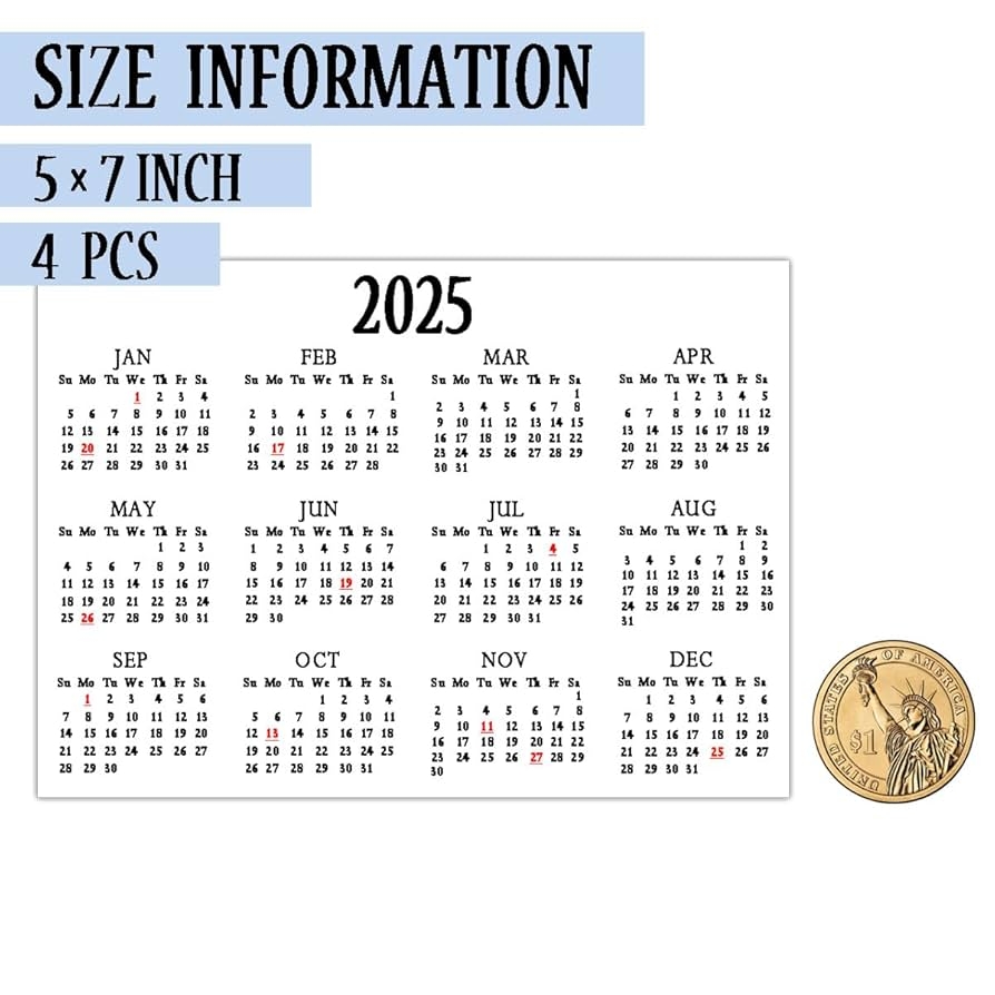 Amazon 2025 Calendar Stickers Labels 5 7 Inch 2025 Mini Planner Calendar Stickers Removable Monthly Planner Schedule Decals Strips For Notebooks Journals 4 Pack Office Products Amazon 2025 Calendar Stickers Labels 5 7 Inch 2025 Mini Planner Calendar Stickers Removable Monthly Planner Schedule Decals Strips For Notebooks Journals 4 Pack Office Products