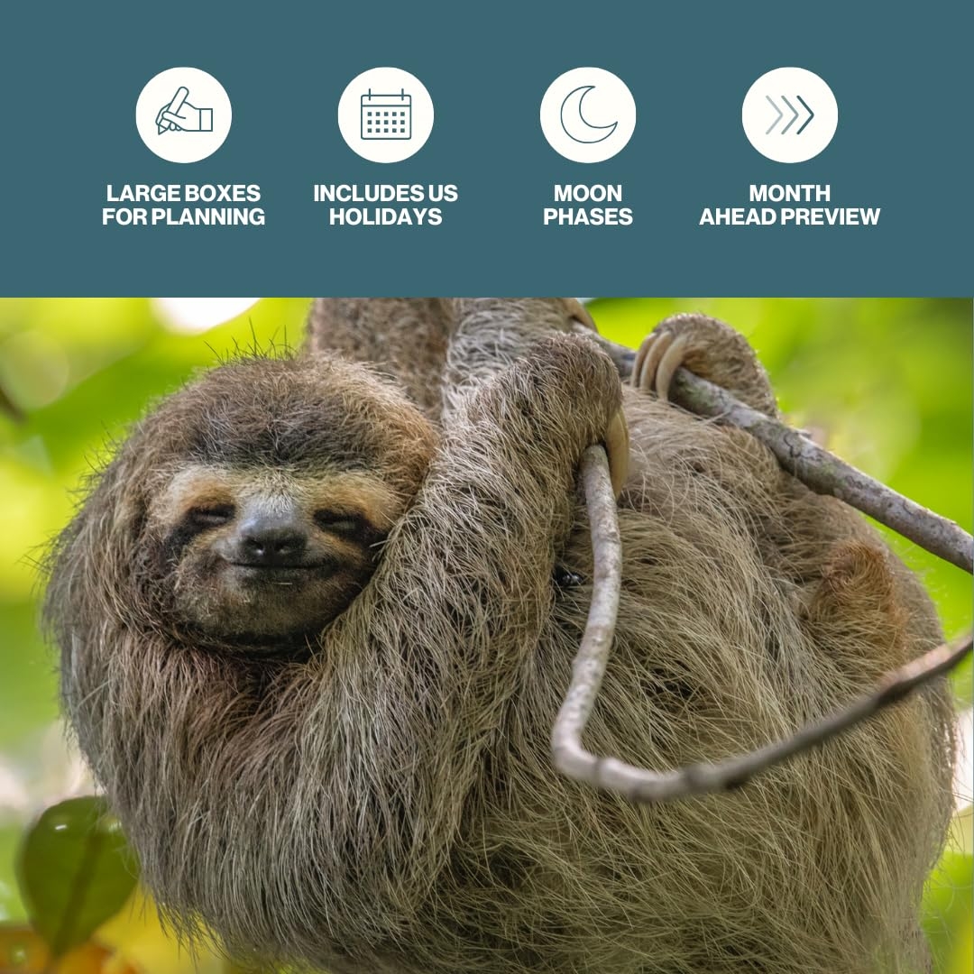 Amazon Sloth Calendar 2025 Large 12 Month 2025 Wall Calendar Month To View Sloth Wall Calendar 2025 Made By Our World Office Products Amazon Sloth Calendar 2025 Large 12 Month 2025 Wall Calendar Month To View Sloth Wall Calendar 2025 Made By Our World Office Products