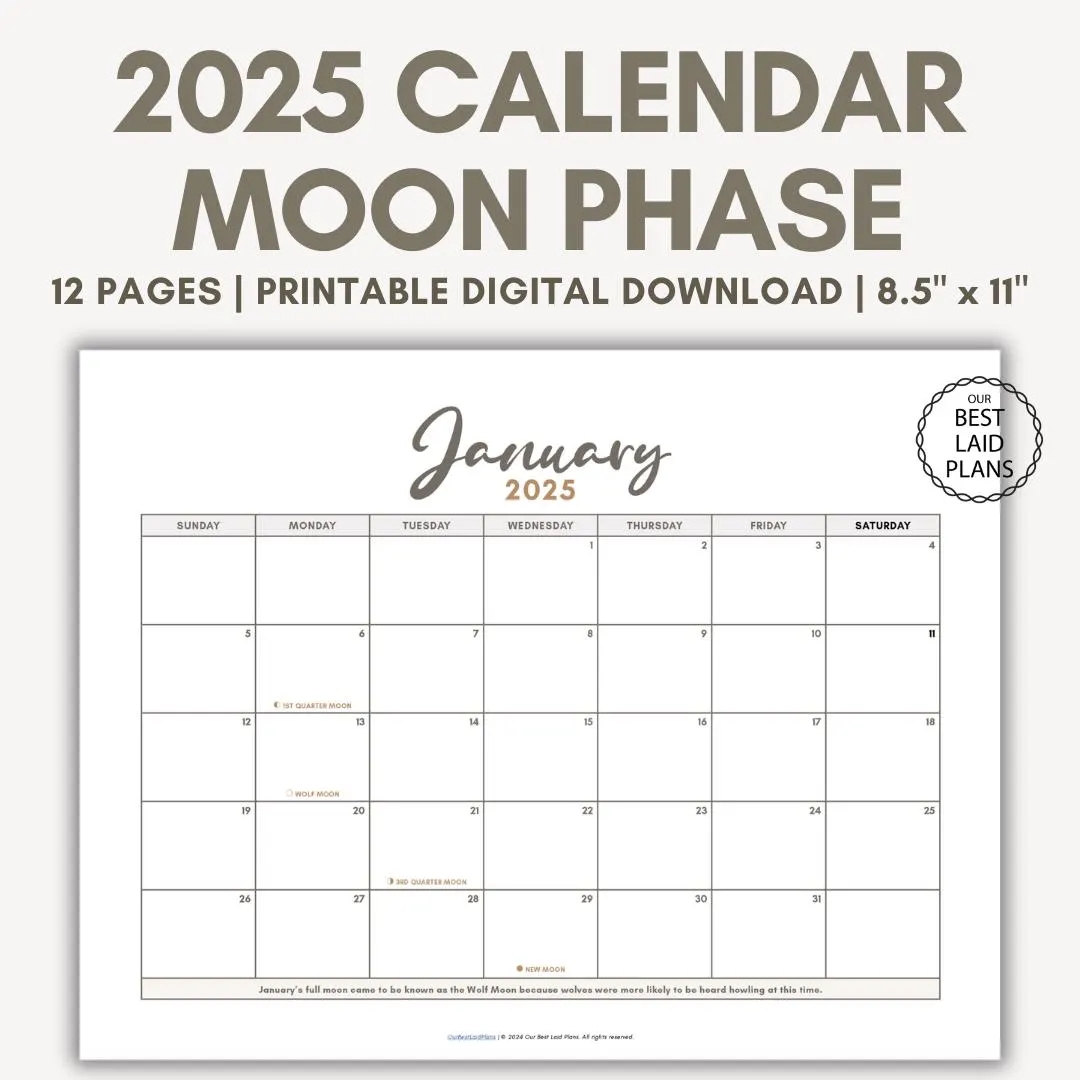 Moon Phase Calendar 2025 Printable PDF Moon Phase Calendar Page Boho Moon Phase Calendar Pink Moon Phase Today Calendar DOWNLOAD Etsy Moon Phase Calendar 2025 Printable PDF Moon Phase Calendar Page Boho Moon Phase Calendar Pink Moon Phase Today Calendar DOWNLOAD Etsy