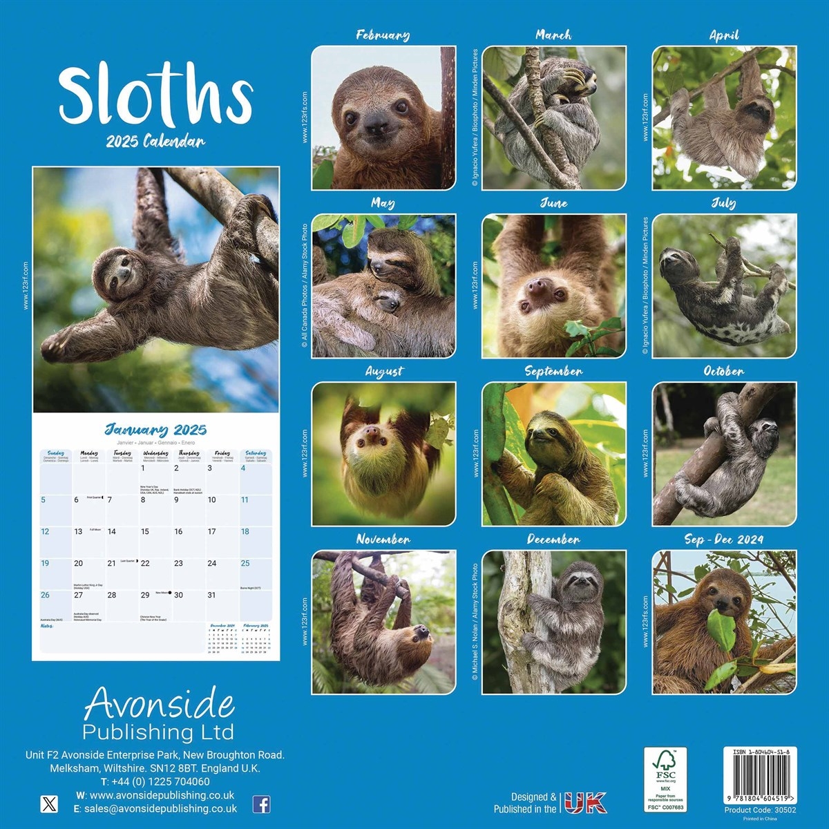 Sloths Calendar 2025 Sloths Calendar 2025