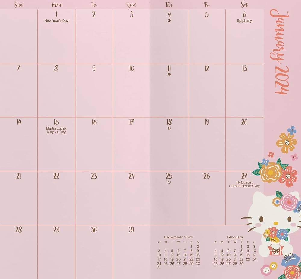 2024 2025 Hello Kitty Pocket Planner Trends International 9781438896380 Amazon Books