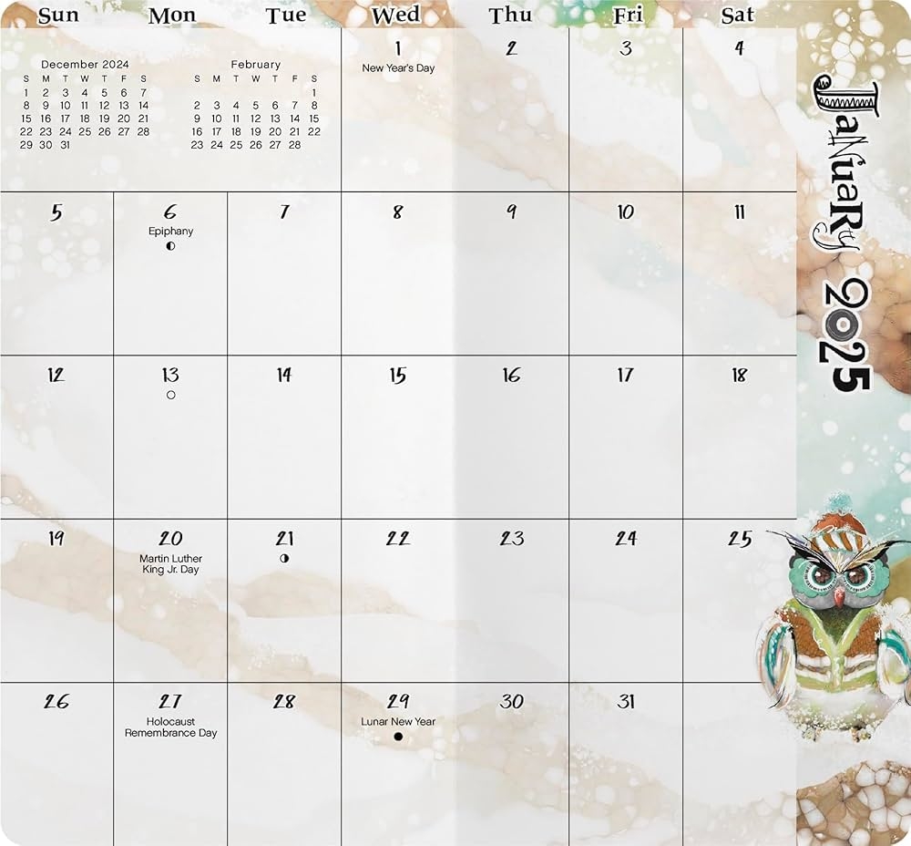 2025 2026 Owls By Connie Haley Pocket Planner Trends International 9798888281284 Amazon Books