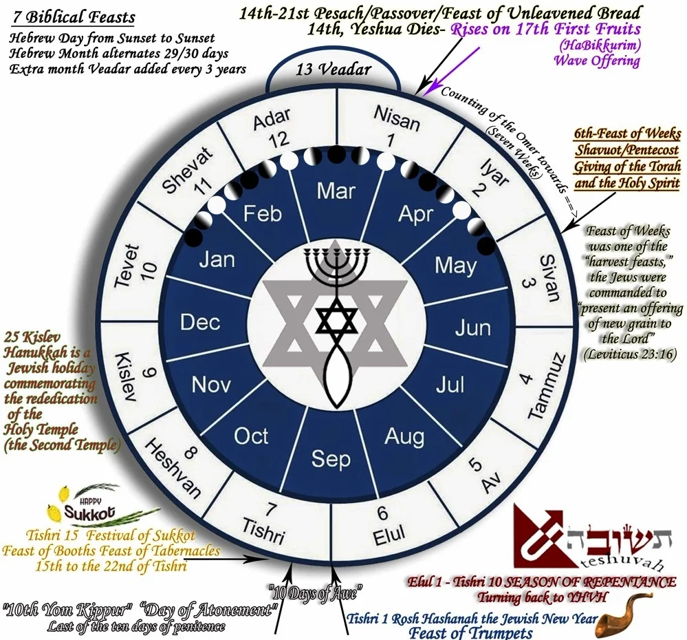 2025 Calendar Netzarim Antoecie