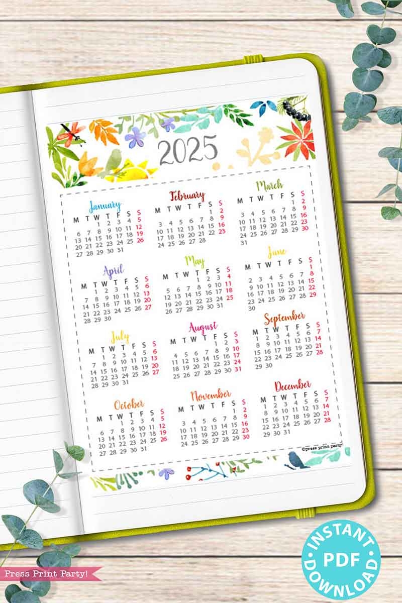 2025 One Page Calendar At a glance Printable Watercolor 2025 One Page Calendar At a glance Printable Watercolor