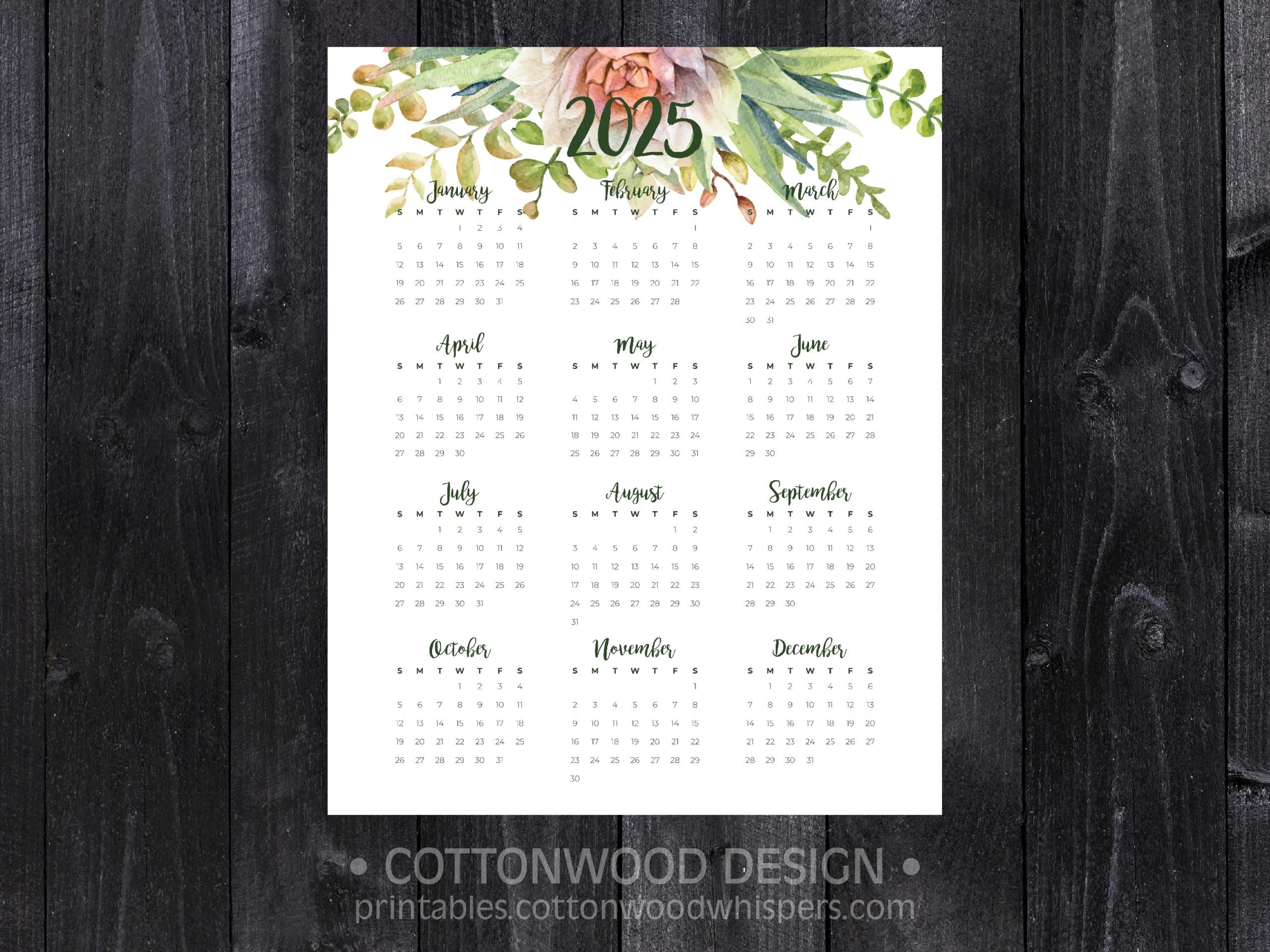 2025 Succulent Cactus At a Glance Printable Calendar Instant Digital Download