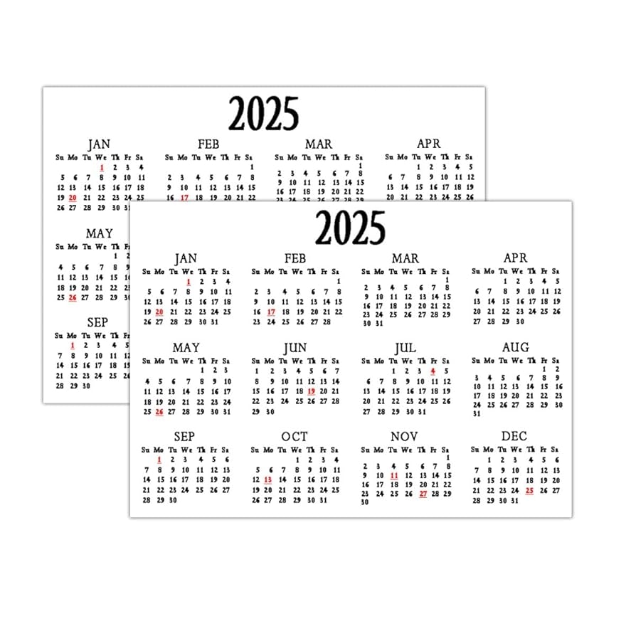 Amazon 2025 Calendar Stickers Labels 5 7 Inch 2025 Mini Planner Calendar Stickers Removable Monthly Planner Schedule Decals Strips For Notebooks Journals 4 Pack Office Products