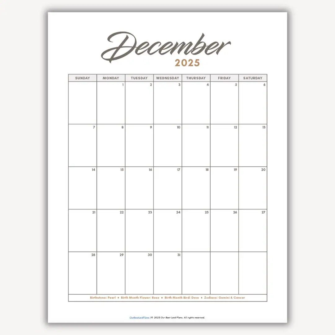 December 2025 Calendar Printable Download December 2025 Printable PDF December Cal 2025 Portrait Blank Minimalist Calendar Dec Month 2025 Etsy