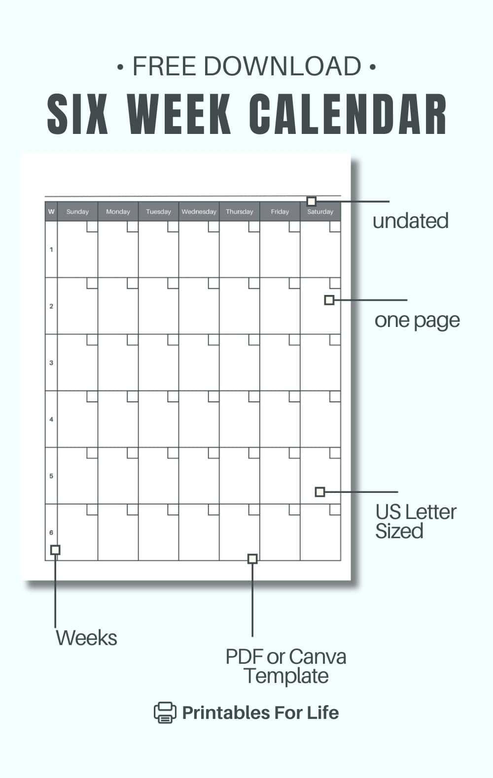 Free 6 Week Calendar Printable PDF